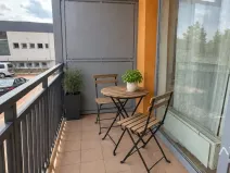 Prodej bytu 1+kk, Brno, Božetěchova, 23 m2