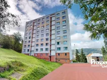 Prodej bytu 1+1, Ústí nad Labem - Střekov, Truhlářova, 37 m2