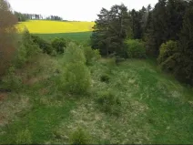 Dražba louky, Křenov, 16180 m2