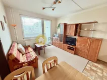 Pronájem bytu 1+1, Písek - Pražské Předměstí, Na Pěníku, 43 m2