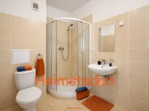 Pronájem bytu 1+kk, Karviná - Hranice, Slovenská, 30 m2