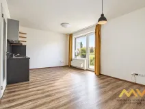 Pronájem bytu 1+kk, Hradec Králové - Pražské Předměstí, Václavkova, 32 m2