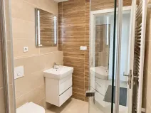 Prodej bytu 1+kk, Plzeň, Železná, 27 m2