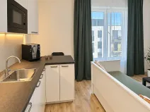 Prodej bytu 1+kk, Plzeň, Železná, 27 m2
