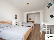 Prodej bytu 2+1, Brno, Hlinky, 56 m2