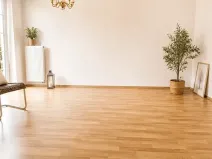 Prodej bytu 2+kk, Dobrá Voda u Českých Budějovic, Lázeňská, 67 m2