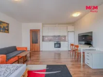 Prodej bytu 1+kk, Plzeň - Jižní Předměstí, Stehlíkova, 39 m2