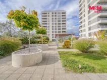 Prodej bytu 1+kk, Plzeň - Jižní Předměstí, Stehlíkova, 39 m2