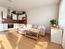 Prodej bytu 2+kk, České Budějovice - České Budějovice 3, Jírovcova, 54 m2
