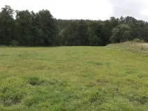 Prodej pole, Tachov, 58887 m2