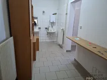 Pronájem kanceláře, Slaný, Netovická, 50 m2