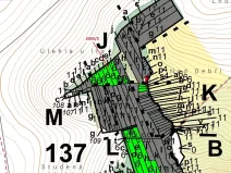 Dražba lesa, Pavlovice u Přerova, 449 m2