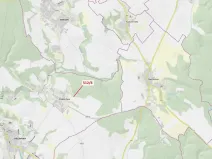 Dražba lesa, Oslavany, 52 m2