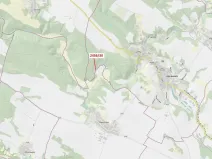 Dražba lesa, Oslavany, 56 m2