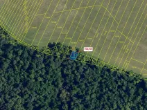 Dražba lesa, Čučice, 103 m2