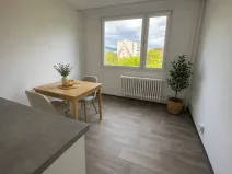 Pronájem bytu 1+1, Litvínov, U Bílého sloupu, 40 m2