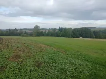 Prodej louky, Nekoř, 15200 m2