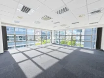 Pronájem kanceláře, Praha - Smíchov, Karla Engliše, 168 m2