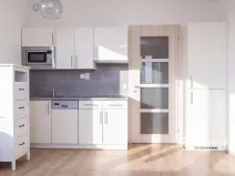 Prodej bytu 1+kk, Praha - Vysočany, Freyova, 33 m2