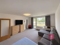 Pronájem bytu 1+1, Brno, Majdalenky, 52 m2
