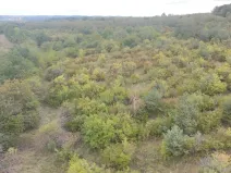 Prodej sadu/vinice, Dobříň, 42877 m2
