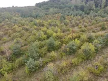 Prodej sadu/vinice, Dobříň, 42877 m2