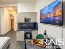 Prodej bytu 1+kk, Brno - Brno-město, Bašty, 20 m2
