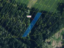 Dražba lesa, Přerov, 1205 m2