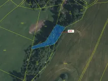 Dražba lesa, Volfířov, 1007 m2