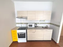 Pronájem bytu 1+kk, Ústí nad Labem - Krásné Březno, Obvodová, 32 m2