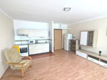 Pronájem bytu 1+kk, Ústí nad Labem - Krásné Březno, Obvodová, 32 m2