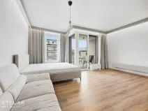 Pronájem bytu 1+kk, Ostrava - Moravská Ostrava, F. X. Riepla, 45 m2