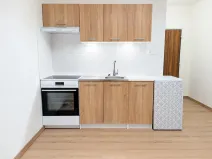 Pronájem bytu 1+kk, Chodov, Čapkova, 21 m2