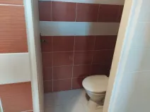 Prodej rodinného domu, Týnec nad Labem, 230 m2