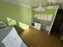 Prodej bytu 1+1, Most, Marš. Rybalka, 36 m2