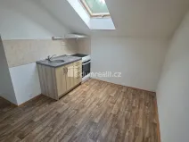 Pronájem bytu 1+1, Děčín - Děčín X-Bělá, Družstevní, 33 m2