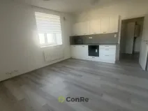 Pronájem bytu 1+kk, Mnichovo Hradiště, Havlíčkova, 31 m2
