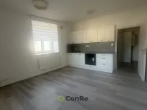 Pronájem bytu 1+kk, Mnichovo Hradiště, Havlíčkova, 31 m2