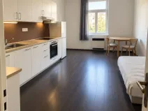 Pronájem bytu 2+kk, Praha - Vinohrady, Lužická, 53 m2