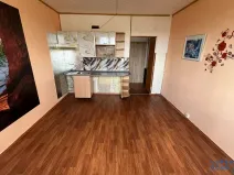 Pronájem bytu 1+kk, Chodov, Čapkova, 21 m2
