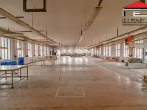 Prodej činžovního domu, Aš, Selbská, 8650 m2