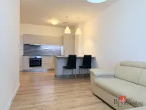 Pronájem bytu 2+kk, Opava - Předměstí, Provaznická, 56 m2