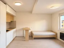 Pronájem bytu 1+kk, Děčín, Liliová, 21 m2