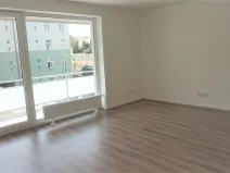 Pronájem bytu 1+kk, Brno, Vranovská, 49 m2