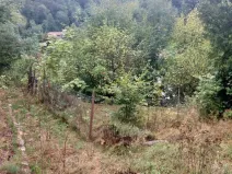 Prodej pozemku pro bydlení, Hlubočky - Hrubá Voda, 667 m2