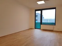 Pronájem bytu 2+kk, Praha - Holešovice, Argentinská, 60 m2