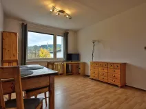 Pronájem bytu 1+1, Rokytnice nad Jizerou - Horní Rokytnice, 37 m2