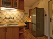 Pronájem bytu 1+1, Rokytnice nad Jizerou - Horní Rokytnice, 37 m2