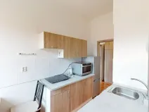 Pronájem bytu 2+1, Brno, Náplavka, 48 m2