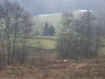 Dražba louky, Vyšší Brod, 919 m2
